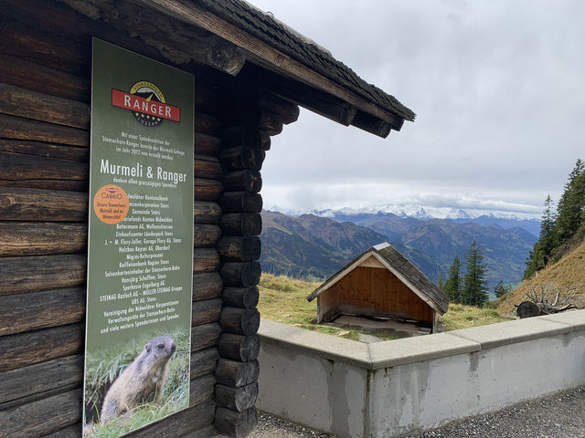 Stanserhorn’s Mystical Beauty on a Gloomy Day