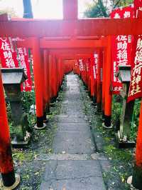 【神奈川県/鎌倉　白狐の置物がたくさん並ぶ神秘的な場所『佐助稲荷神社』】