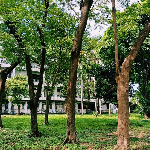 泰國曼谷大學校園景點:Ramkhamhaeng University，特色湖心廟宇建築，適合拍照📸打卡親子遊