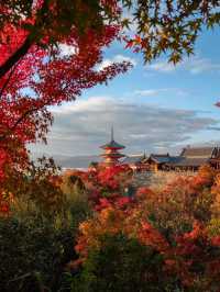 景點推薦：清水寺——京都紅葉絕景的經典地標
