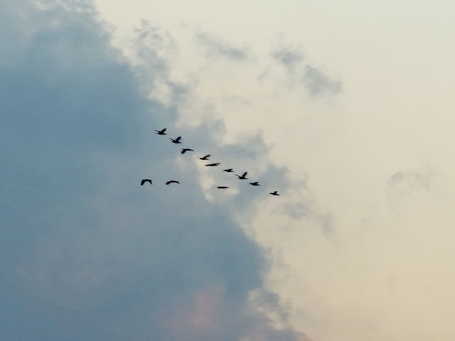 중문색달 해수욕장 겨울바다