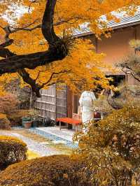 景點推薦：松風園——福岡黃葉季的靜謐庭園之美