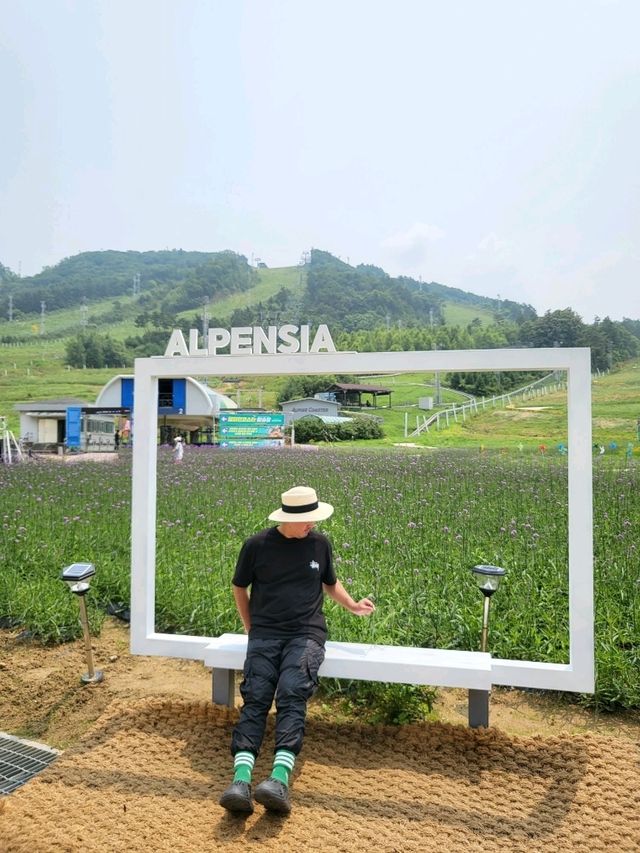 사계절 멋진풍경을 보여주는 평창 리조트