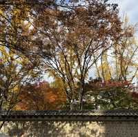Seoul autumn