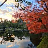 姬路城西御屋敷跡庭園〔好古園〕紅葉絕景  
