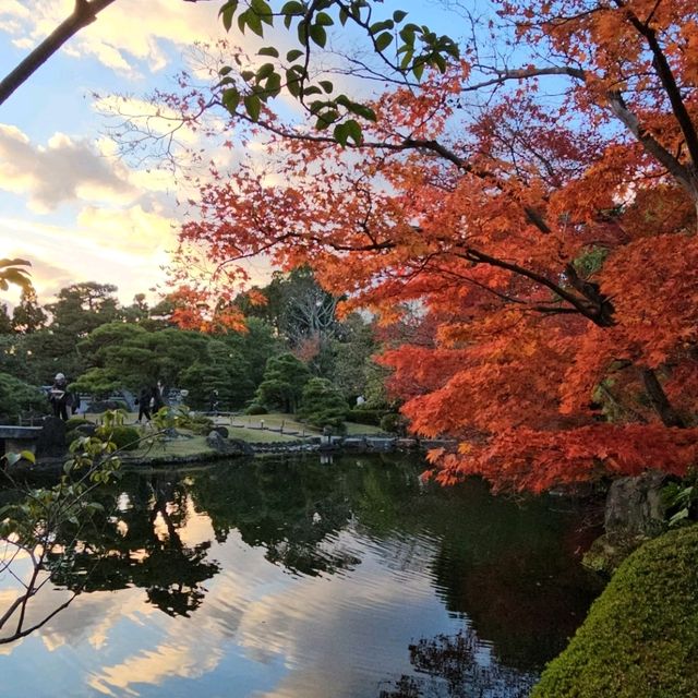 姬路城西御屋敷跡庭園〔好古園〕紅葉絕景  
