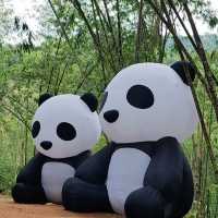Putuo Village: A Tranquil Buddhist Sanctuary