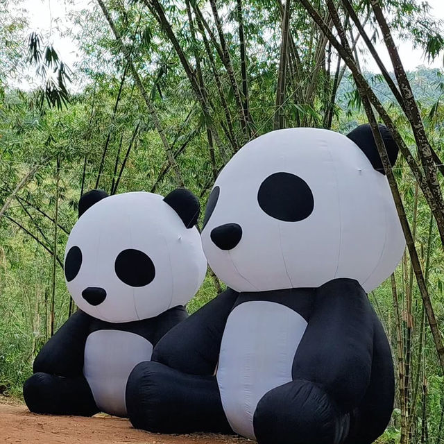 Putuo Village: A Tranquil Buddhist Sanctuary