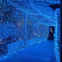 【大阪】大阪でおすすめのクリスマスイルミネーション🎄