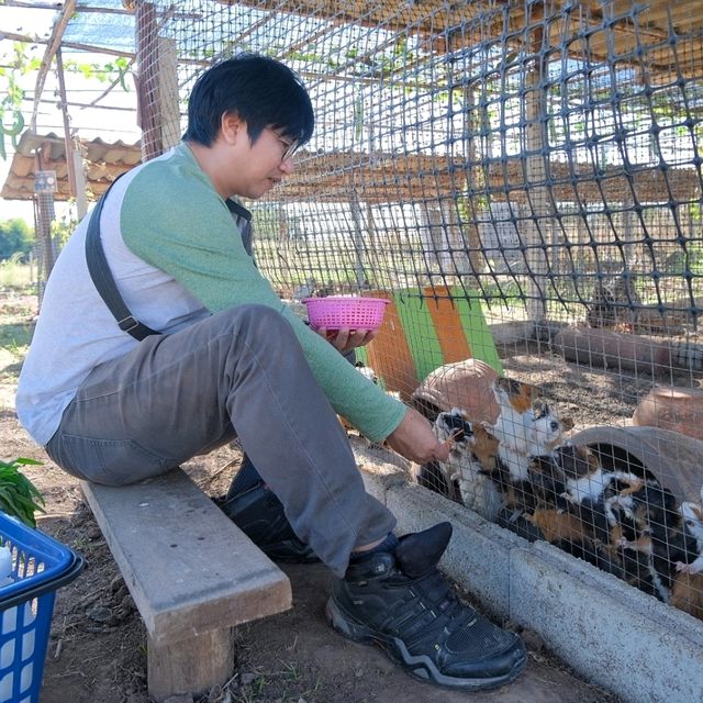 "ไร่ธันตะชา" สวนสัตว์ขนาดเล็ก 🌱อุตรดิตถ์