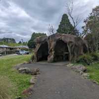 Blue Mountains National Park, New South Wales