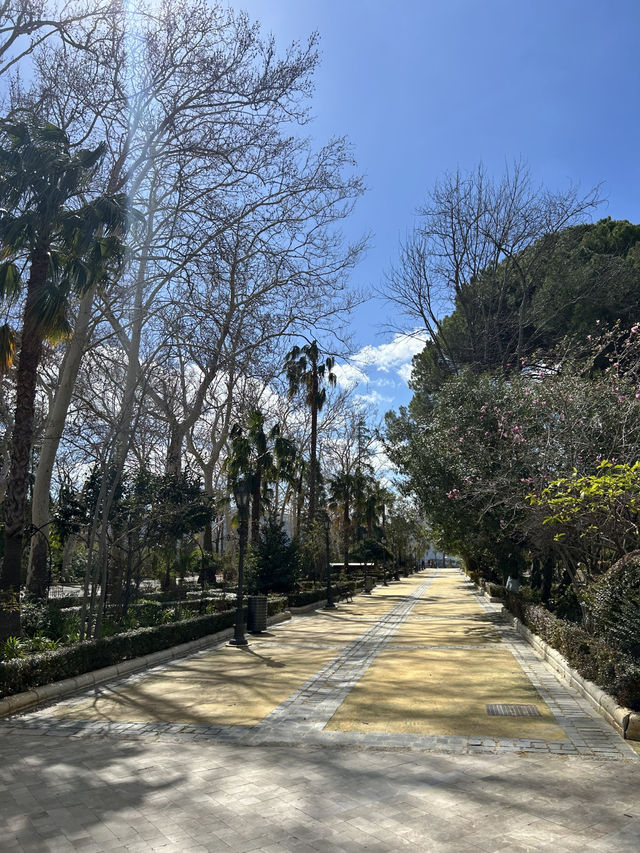 【スペイン】断崖絶壁の上に立つ街ロンダ