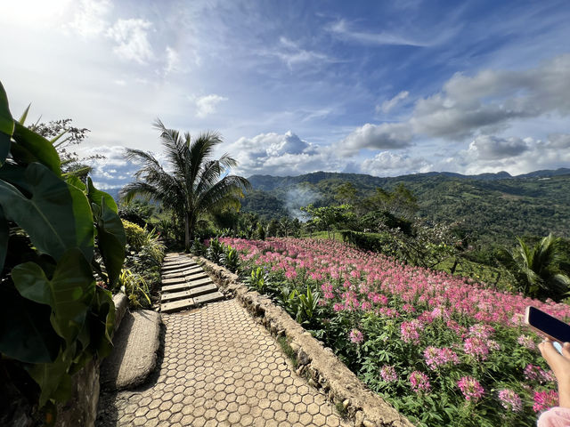 Sirao Garden Cebu - シラオガーデン