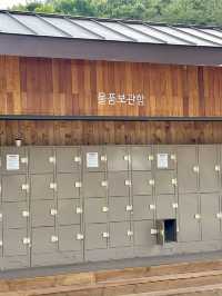 단풍 나들이 명소!