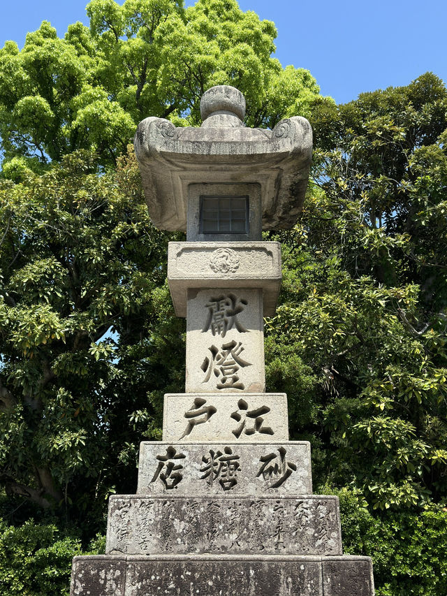 Step into History at Tsurugaoka Hachimangu, Kamakura