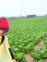 สัมผัสทะเลหมอกที่ ภูทับเบิก เพชรบูรณ์