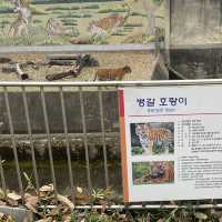 【大邱】無料で楽しめる動物園がある市民憩いの場【達城公園】　