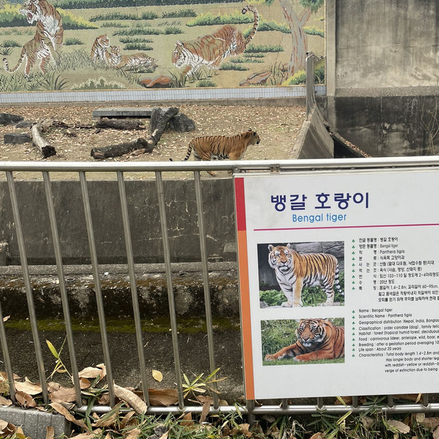 【大邱】無料で楽しめる動物園がある市民憩いの場【達城公園】　