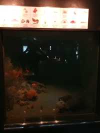 Dive into Discovery: A Day at Tokyo Sea Life Park