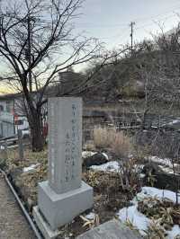 【栃木】温泉好きなら絶対に行ってほしい‎🤍1300年の歴史の元湯