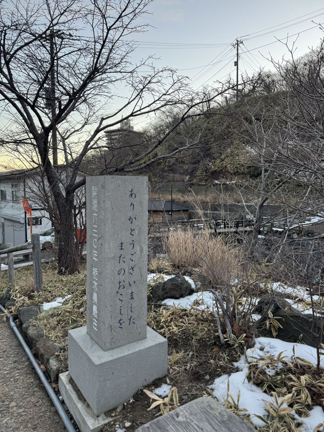 【栃木】温泉好きなら絶対に行ってほしい‎🤍1300年の歴史の元湯