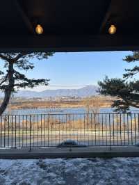 소양강변의 운치있는 🌴소나무 숲의 힐링하기 좋은 춘천 카페투어💚