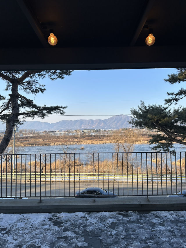 소양강변의 운치있는 🌴소나무 숲의 힐링하기 좋은 춘천 카페투어💚