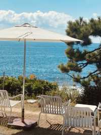 A Scenic Stop You Can't-Miss