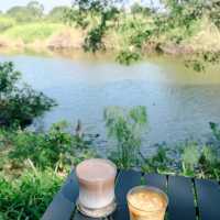 no café just coffee อยุธยา