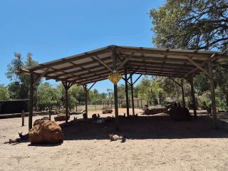 Caversham Wildlife Park