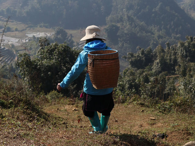 Trekking Through the Breathtaking Rice Terraces of Sapa, Vietnam