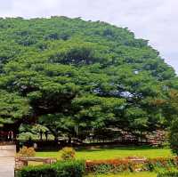 เที่ยวเมืองกาญจนบุรี ทริป2