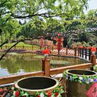 Discovering the Heart of Yunnan’s Heritage