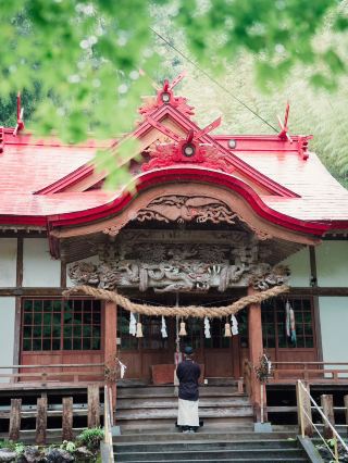 在高知的八坂神社感受杉之大杉的神秘之旅
