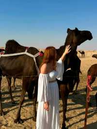 🌵 Explore Dubai Desert Safari 🌟