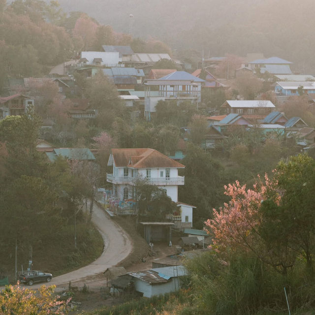 หนึ่งในหมู่บ้านที่ชอบที่สุด 'บ้านร่องกล้า'  🌸🌳