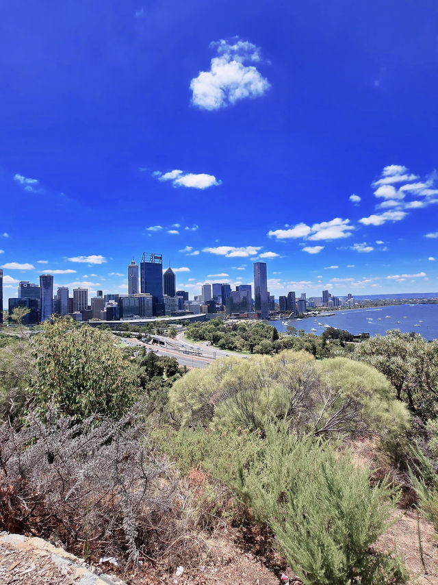 Unmatched Views & Remembrance at Kings Park🇦🇺🦘🙏🏼