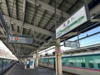 🎫連続7日間使用可能普通列車乗り放題🎫『北海道&東日本パス』