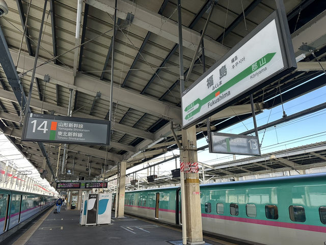 🎫連続7日間使用可能普通列車乗り放題🎫『北海道&東日本パス』