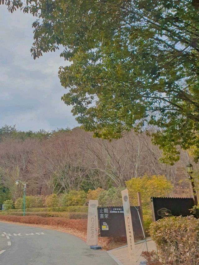 자연 속에서 만나는 감성적인 북카페, 지관서가📚🌿