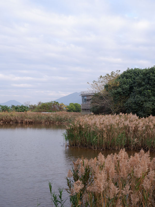 香港秋冬景點：本地人才會去小眾公園 