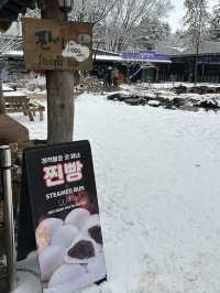 남이섬에서 Winter Wonder Nami Island축제 즐기기☃️