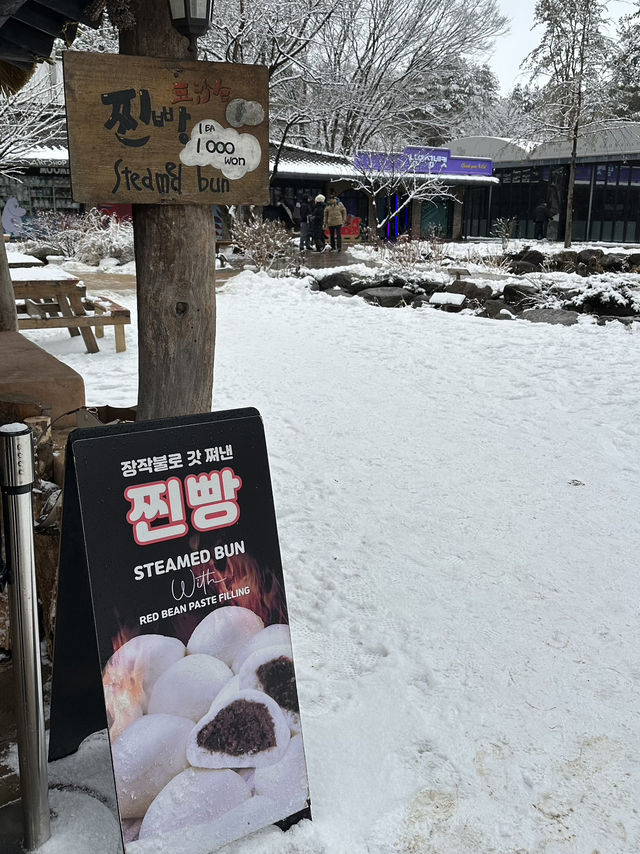 남이섬에서 Winter Wonder Nami Island축제 즐기기☃️
