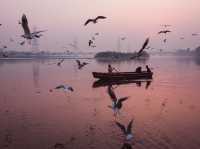 Tranquil Birdwatching Experience at Yamuna Ghat