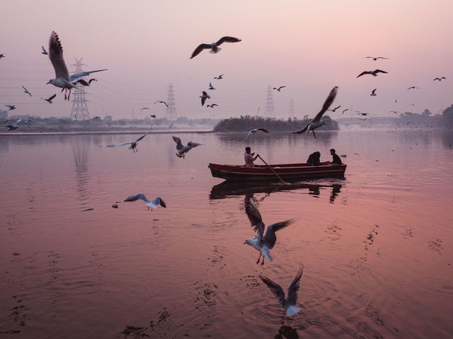 Tranquil Birdwatching Experience at Yamuna Ghat