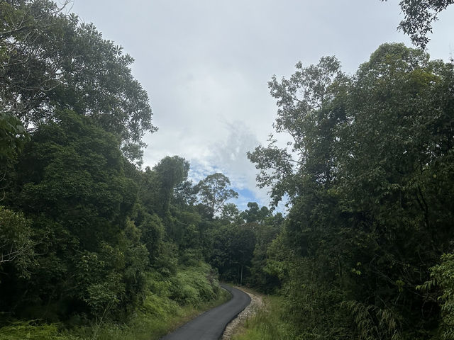 3D2N Adventure: Chasing Clouds in Lembing & Sea Breeze in Kuantan!🌥️🌊🌈