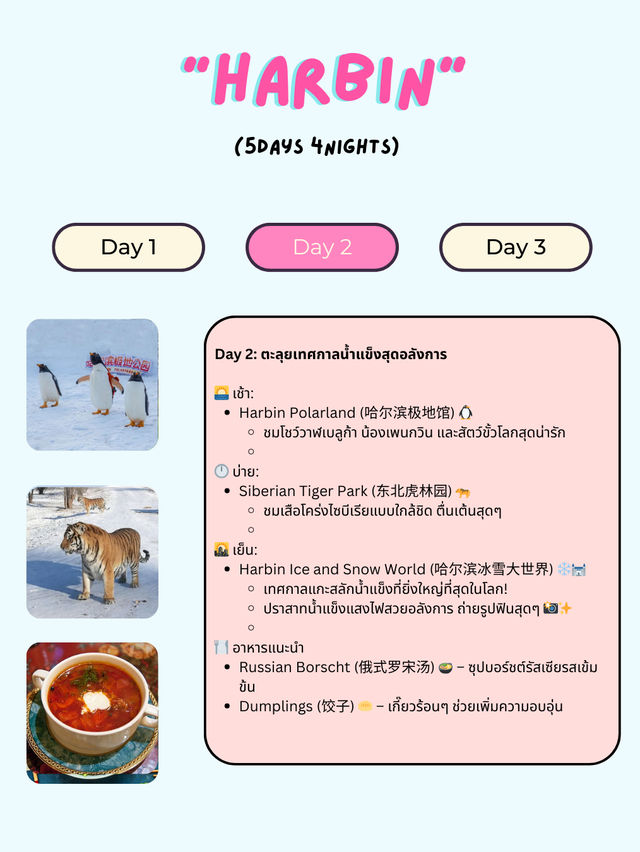 ❄️ 5 Days 4 Nights in Harbin, China