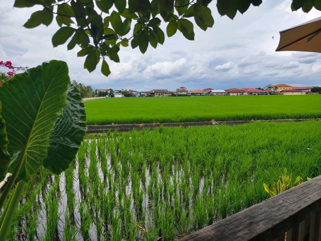 A fruitful day trip to Sekinchan 