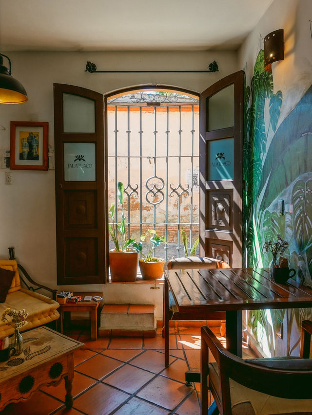コーヒーの産地！オアハカのカフェ4選☕️🇲🇽