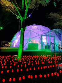 Most Beautiful Light Shows is here in Desa ParkCity 